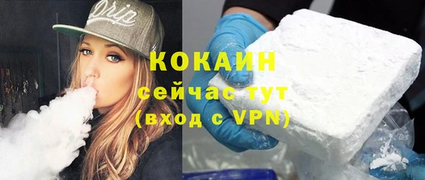 крисы Армянск