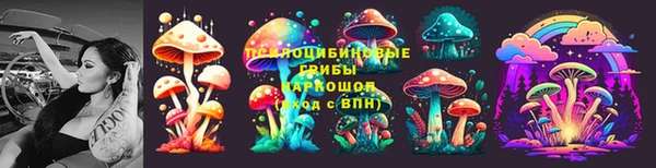 не бодяженный Аркадак