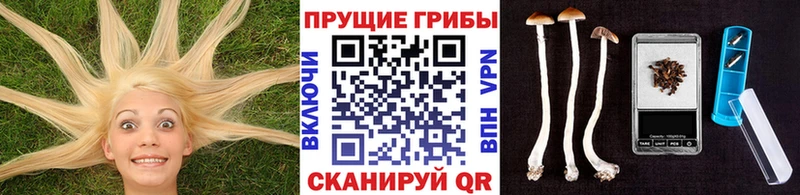 mega ссылки  shop наркотические препараты  Коряжма  Галлюциногенные грибы GOLDEN TEACHER  магазин  наркотиков 